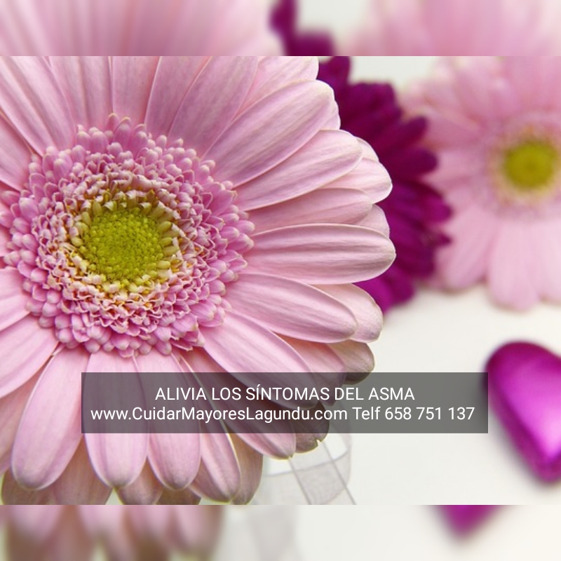 Alivia Los Síntomas Del Asma
