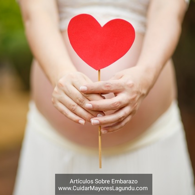 Articulos Sobre Embarazo Embarazada en Guipuzcoa Gipuzkoa