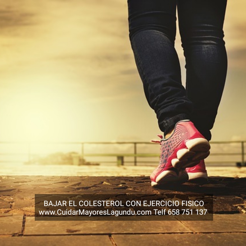  Bajar El Colesterol Con Ejercicio Fisico