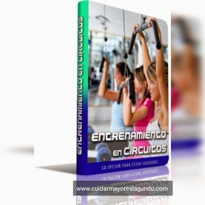Entrenamiento en circuitos ebook libro electronico 