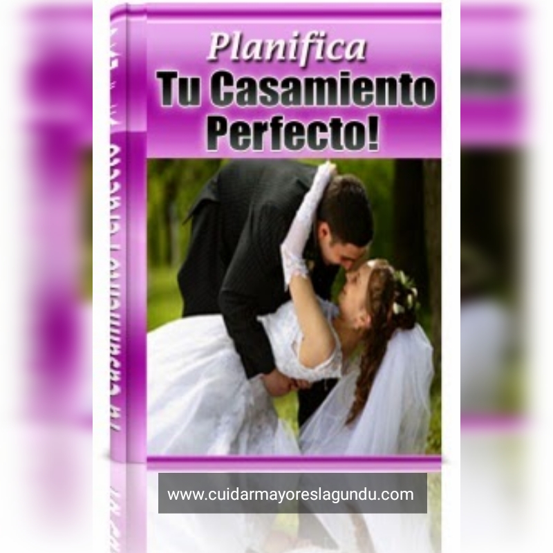 Planifica tu casamiento perfecto eBook libro electronico