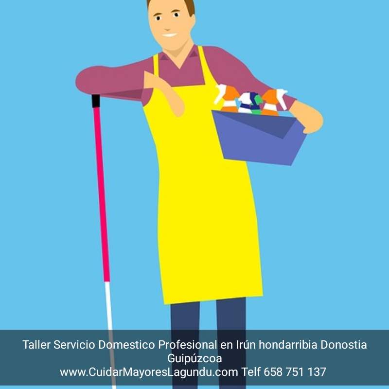 Servicio domestico profesional en irun hondarribia donostia guipuzcoa