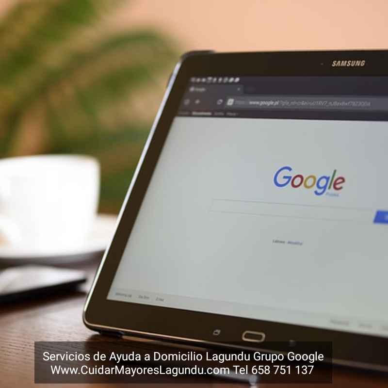 Servicio de ayuda a domicilio lagundu grupo google