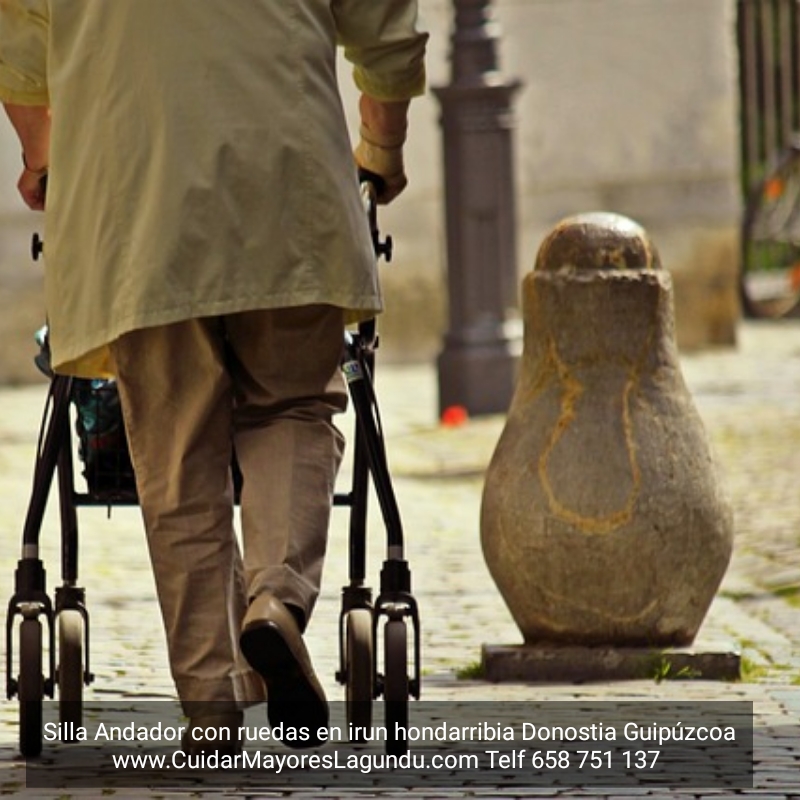 Silla andador con ruedas en irun hondarribia donostia guipuzcoa