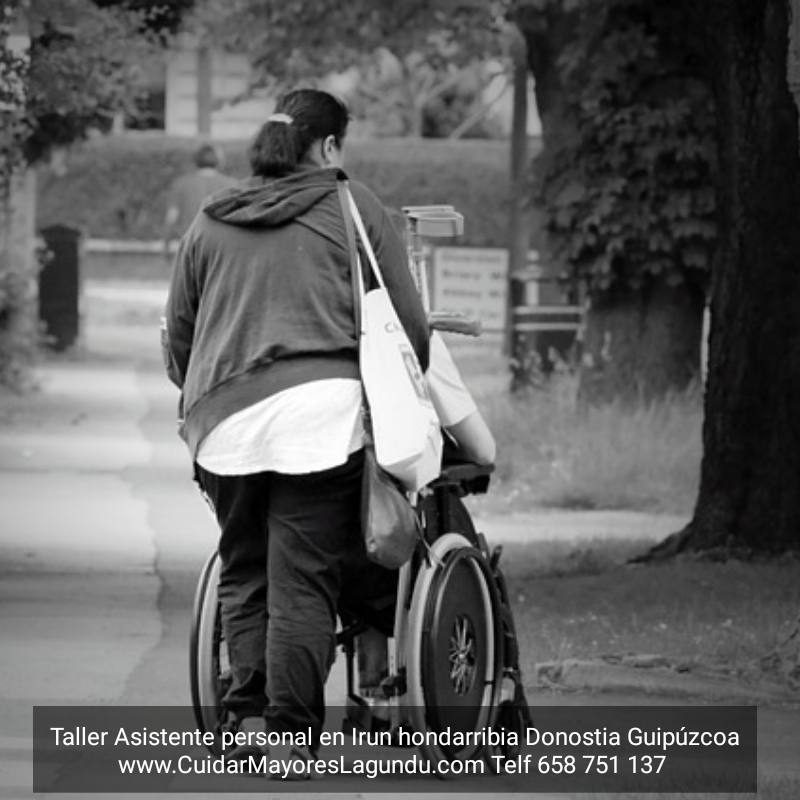 Taller asistente personal en irun hondarribia donostia guipuzcoa